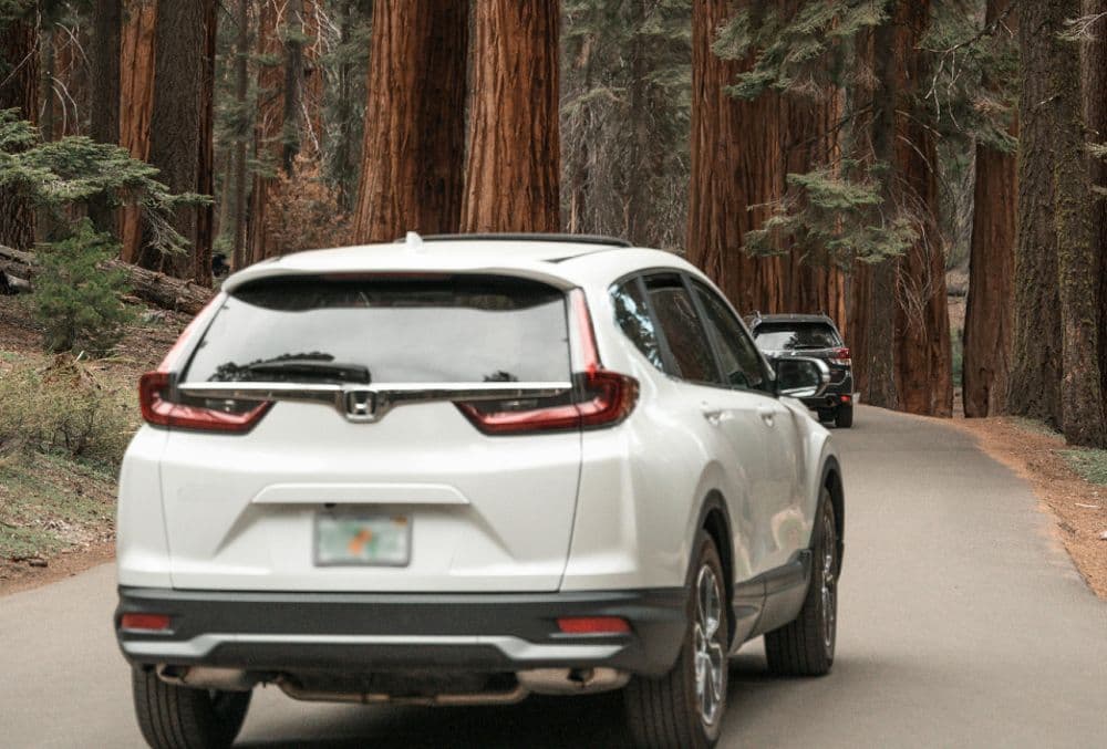Honda Vezel and N-Van Review: A Comprehensive Take