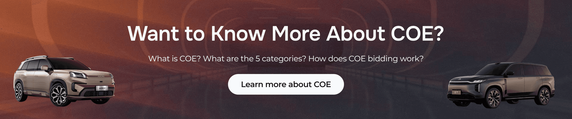 What is COE?