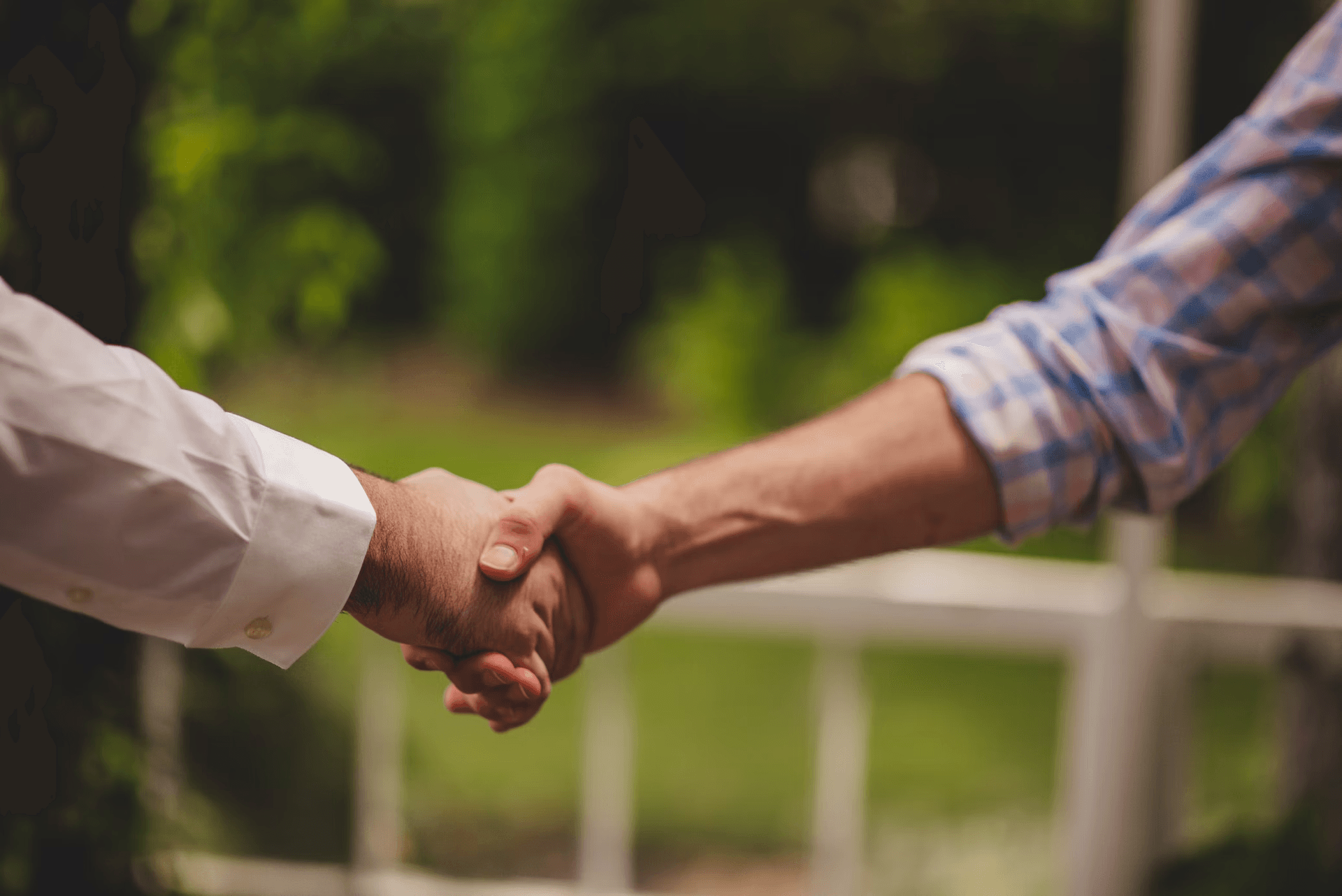 Accept your offer